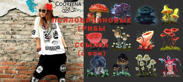 бошки Белокуриха